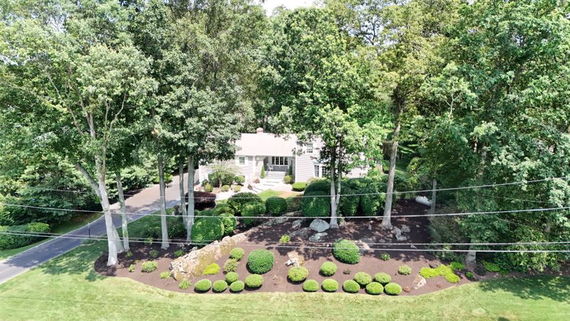 Shrub & Tree Care