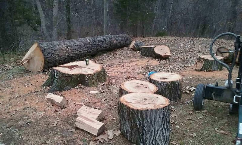Stump Removal