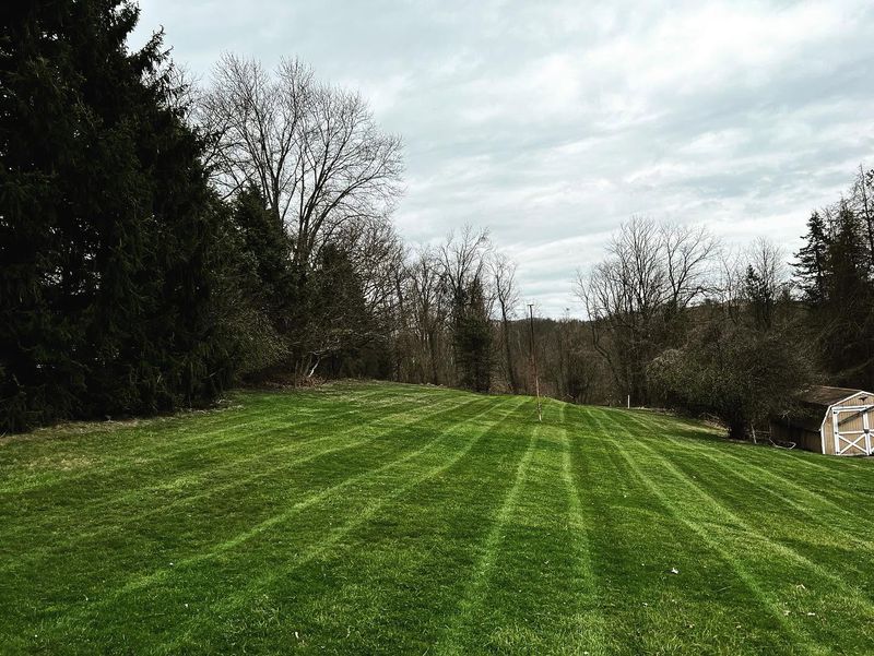 Mowing