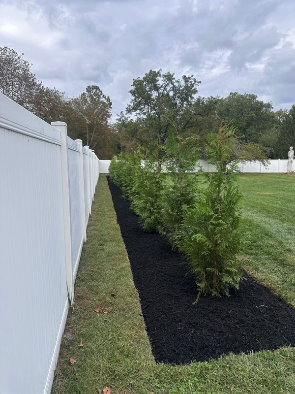 Tree & Perennial Planting