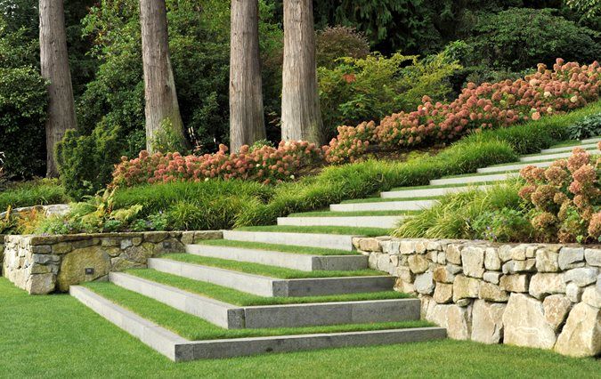 Landscape Design