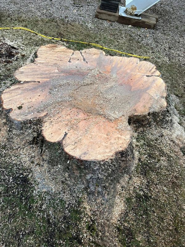 Stump Removal