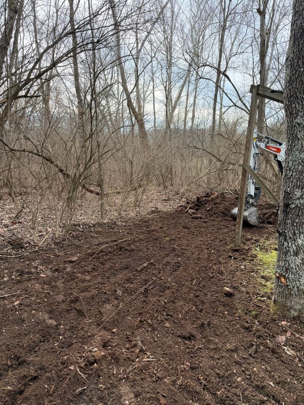 Land Clearing