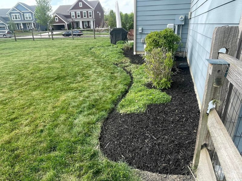 Landscape Design