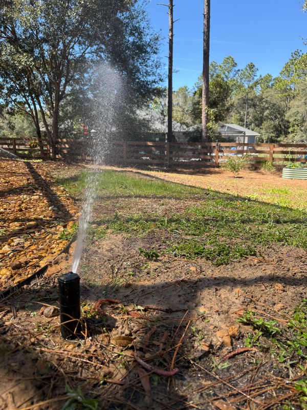 Bi-Annual Irrigation Inspection Special