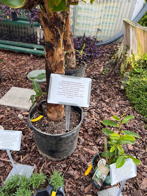 Plant and tree list