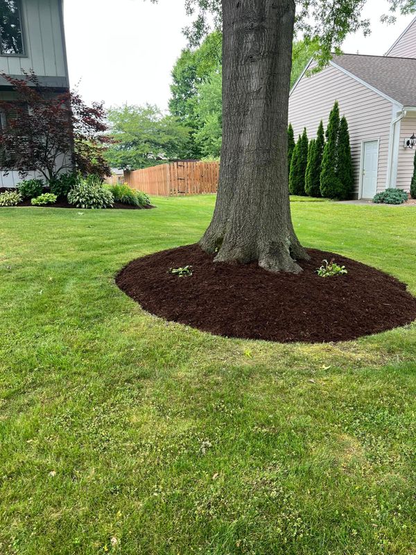 Landscaping
