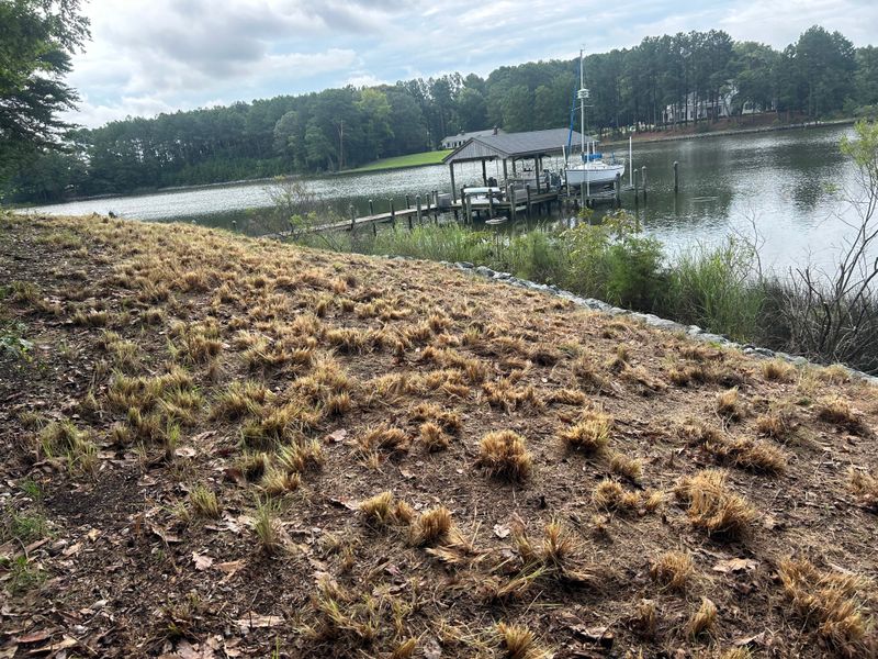 River Bank Clearing  gallery