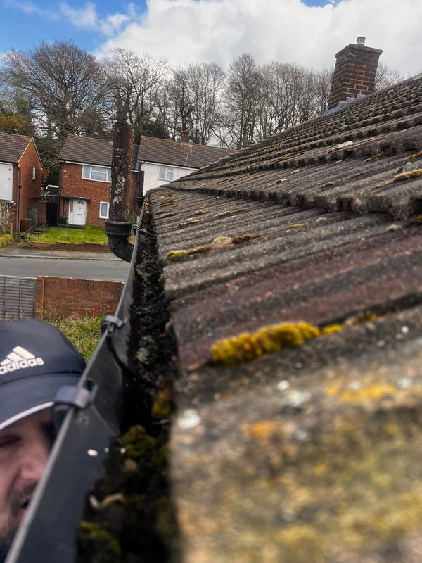 Gutter Cleaning