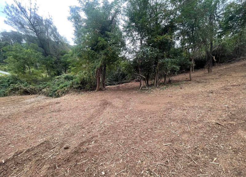 Land Clearing & Mulching