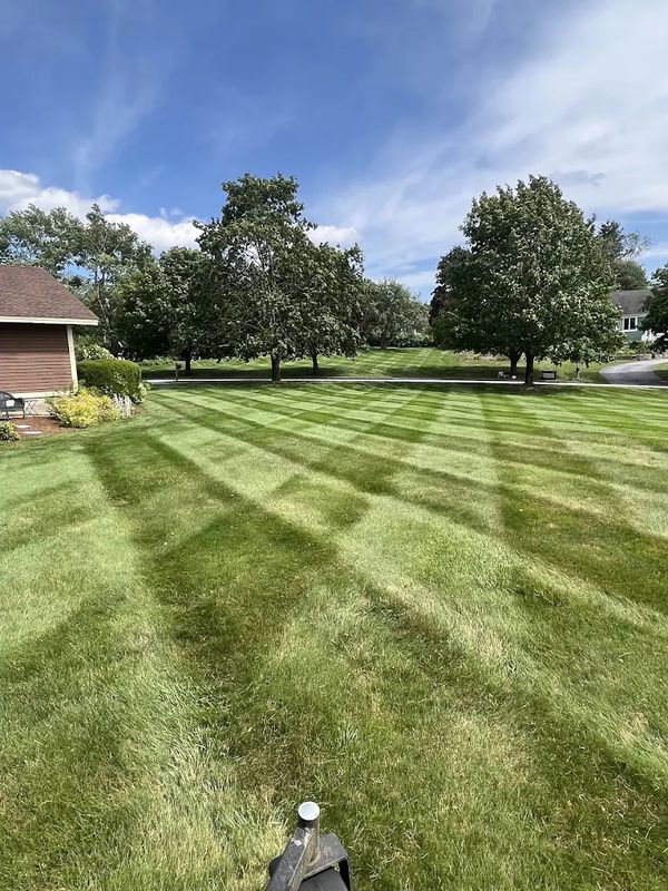 Lawn Repair and Expansions
