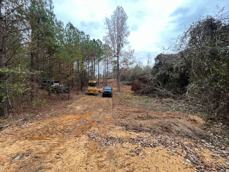Land Clearing