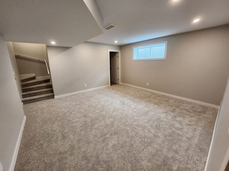 Basement Renovation