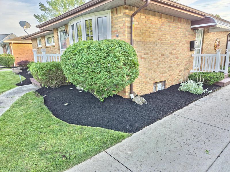 Shrub & Plant Installation Photos