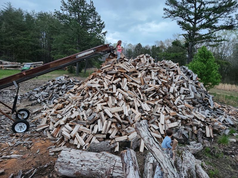 Firewood