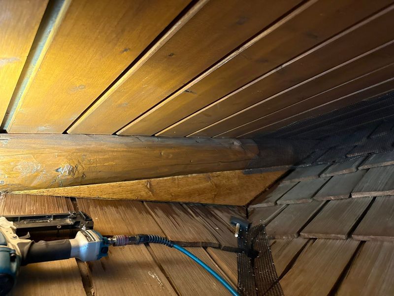 Log replacement and repair.