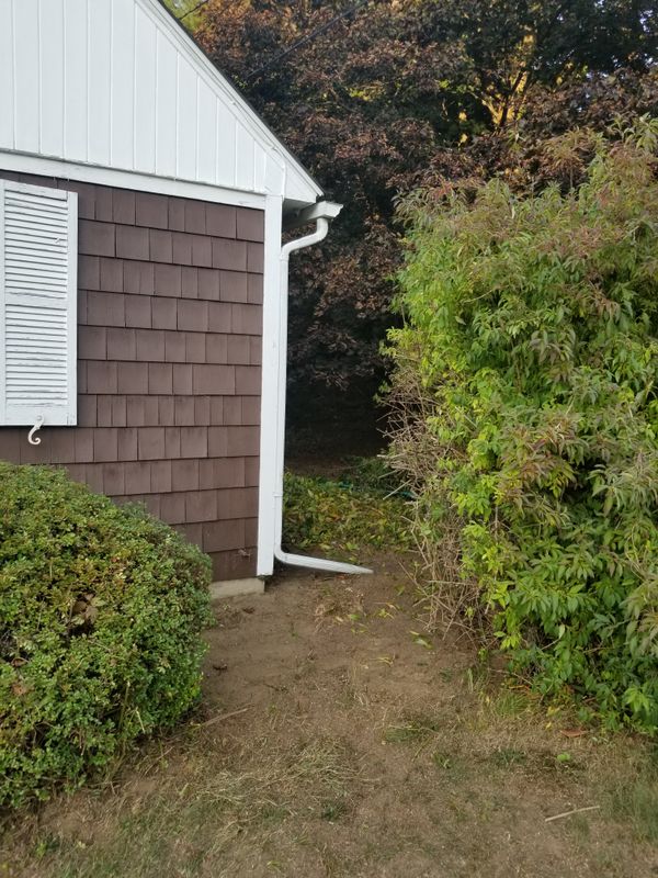Hedge/Tree/Brush Cutting