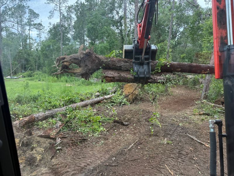 Land Clearing