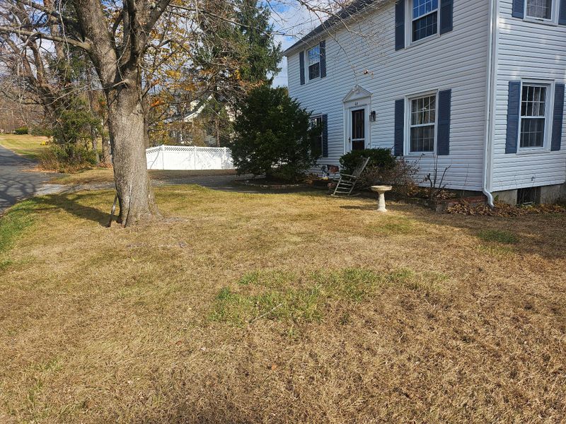 Spring & Fall Cleanups