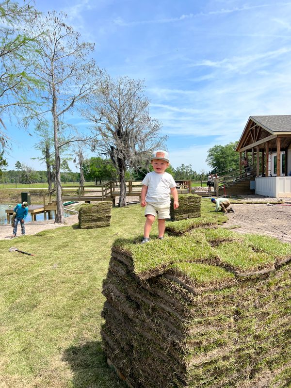 Sod Installation