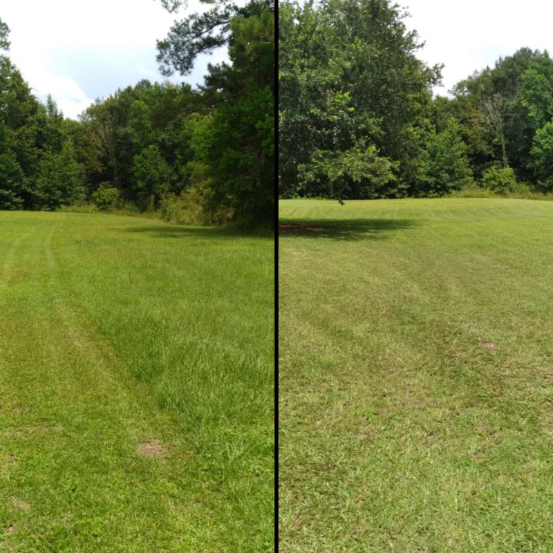 Before & Afters