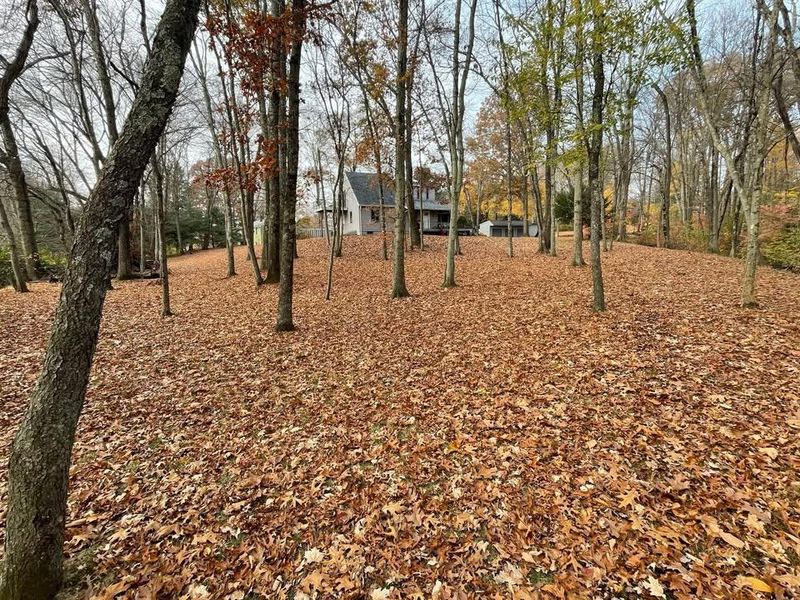 Fall Clean Up