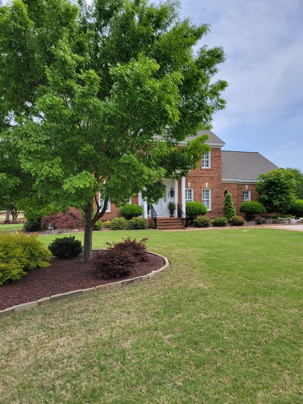 Turf Management