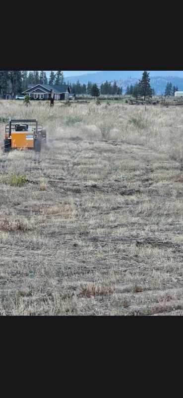 Debris Removal
