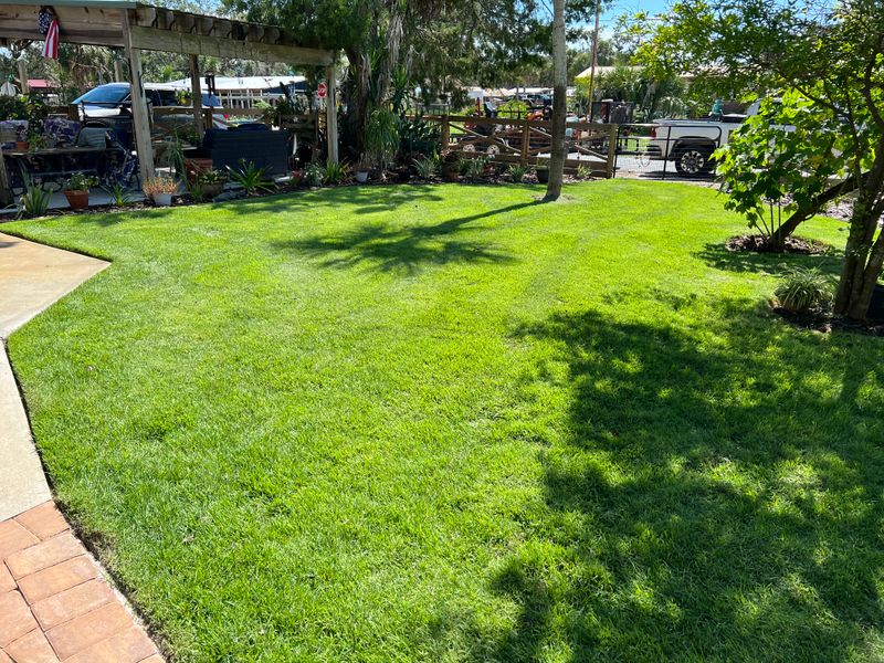 Sod Installation