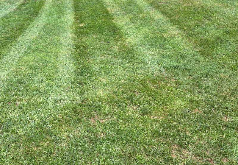 Mowing
