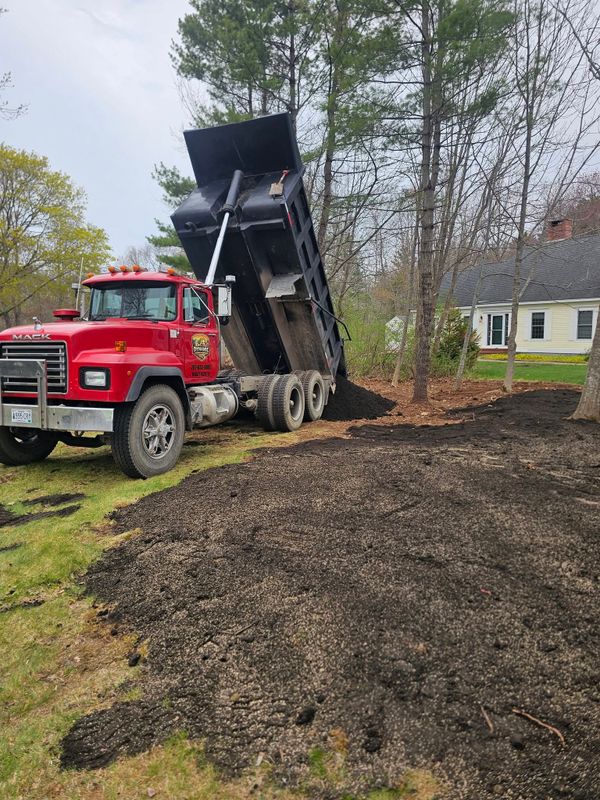 Land Clearing