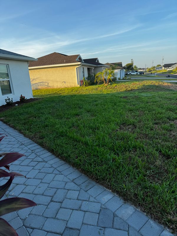 Sod installation