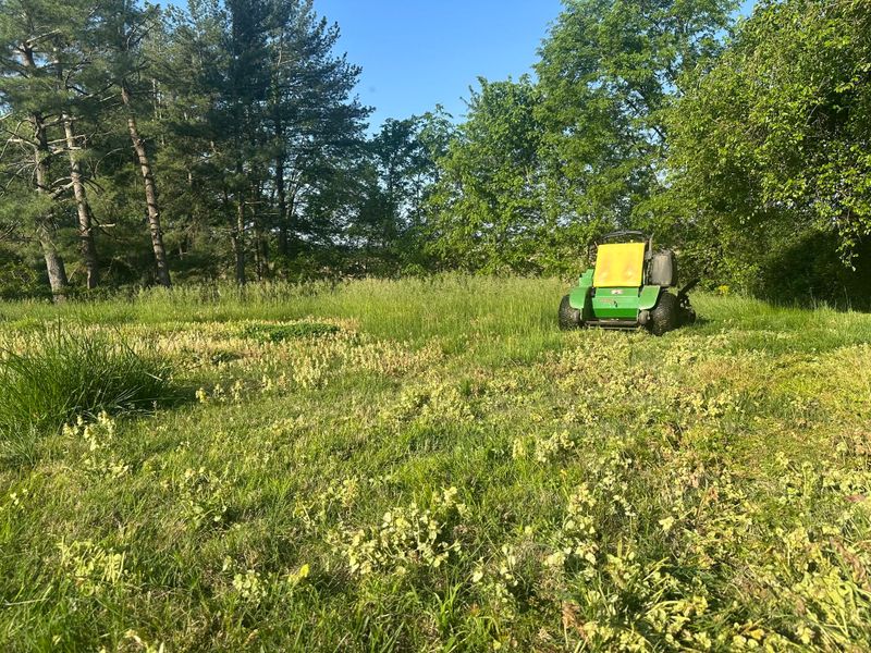 Green Spaces