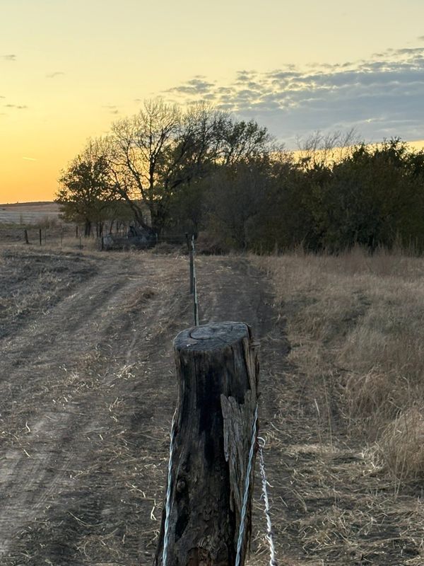 Fence Maintenance