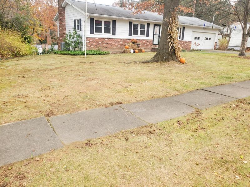 Fall and Spring Clean Up