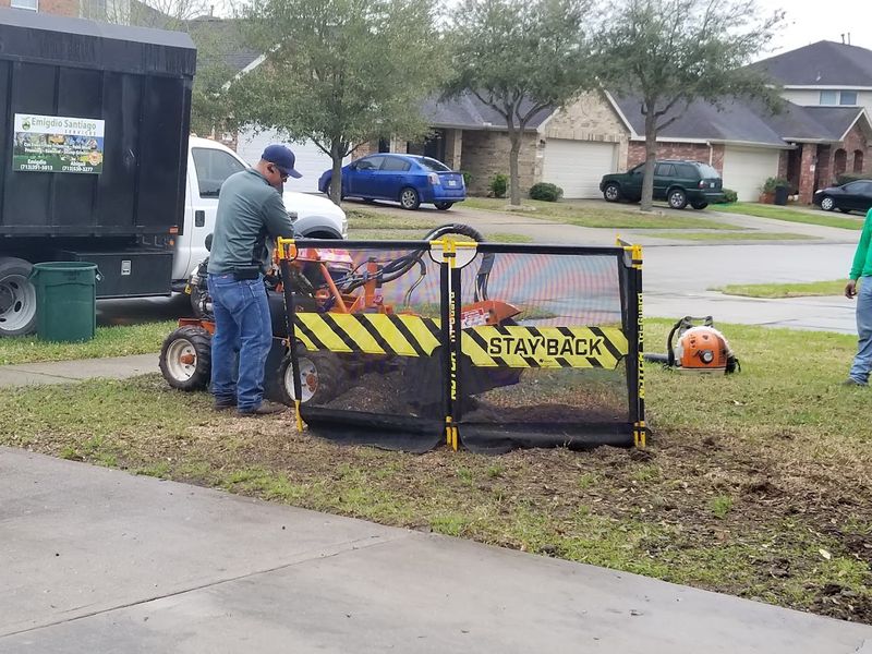 Shrub Trimming