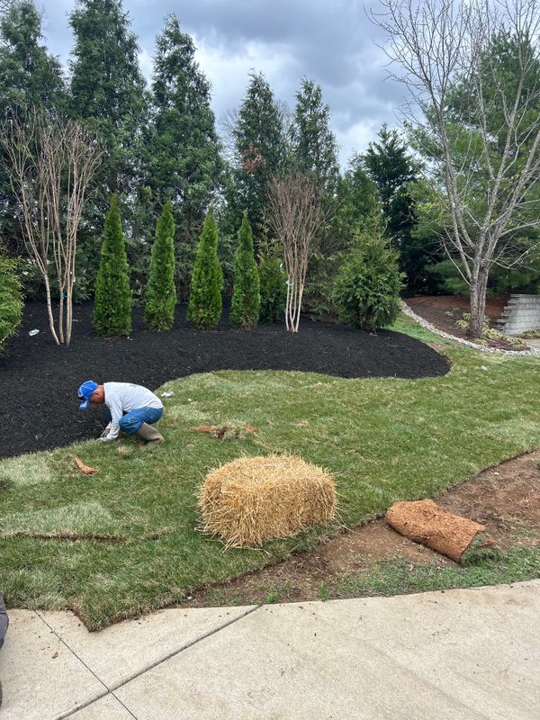 Grading and Leveling