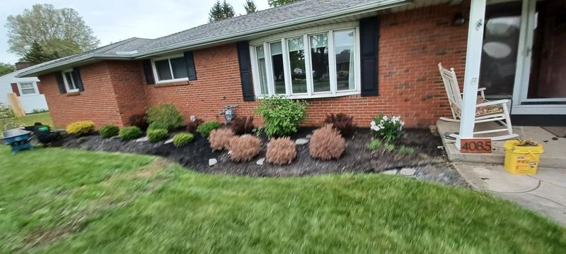 Shrub & Plant Installation Photos
