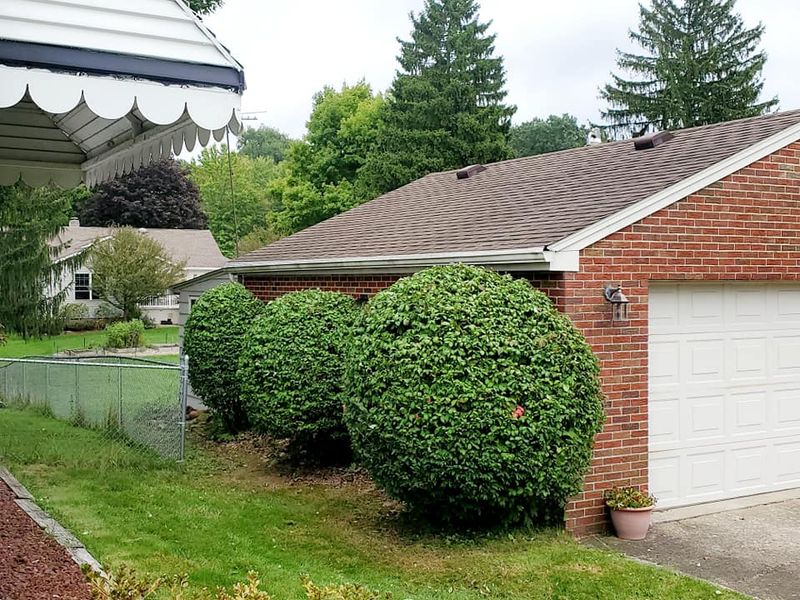 Landscaping