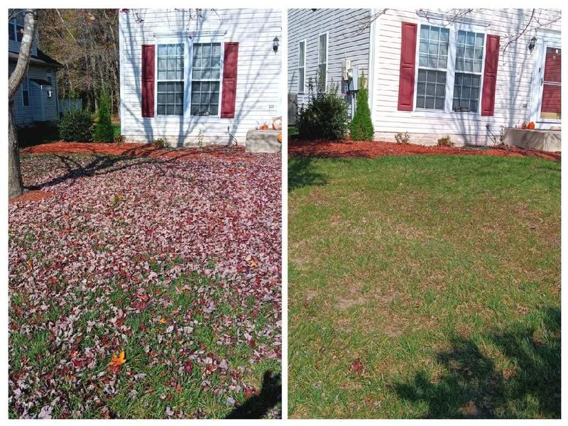 Leaf and Fall Cleanup