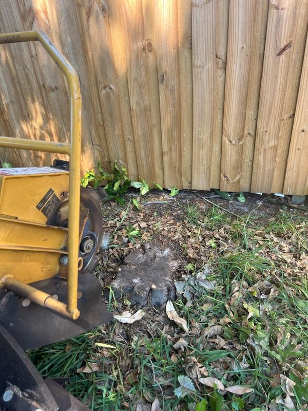 Stump-Free Serenity: Transforming Outdoor Spaces with Expert Removal