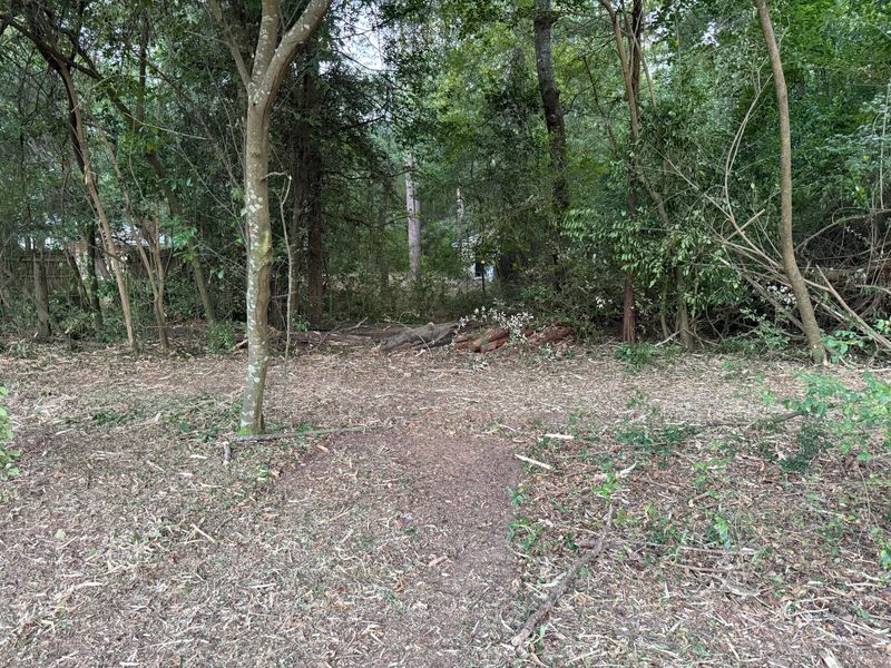 Land Clearing