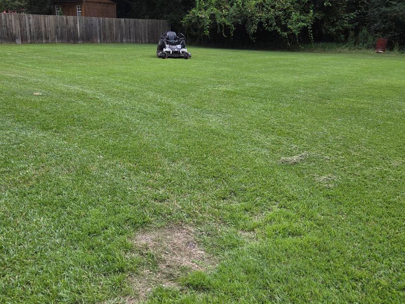 Routine Lawn Maintenance
