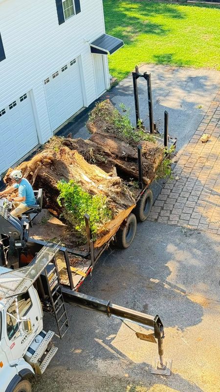 Stump Removal