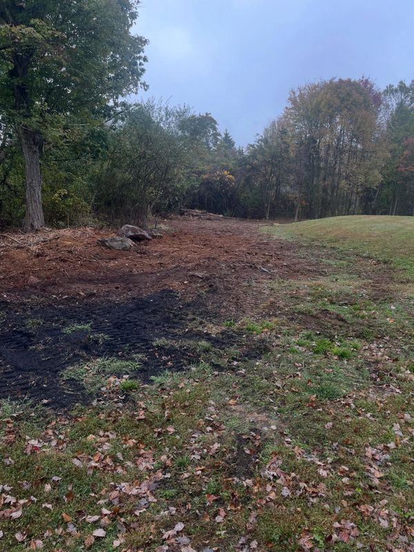 Stump Removal