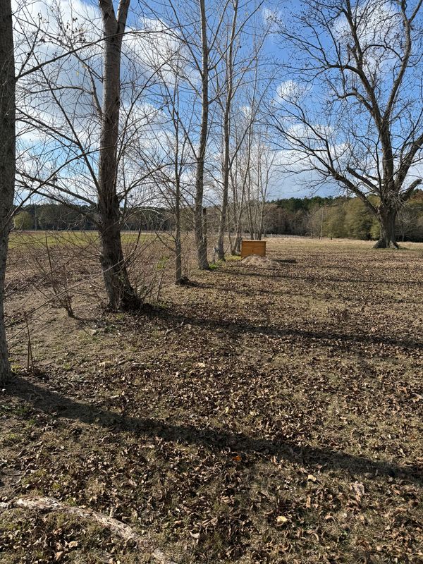 Land Clearing