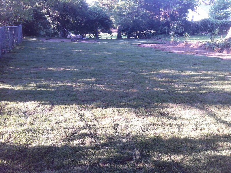 Sod Installation