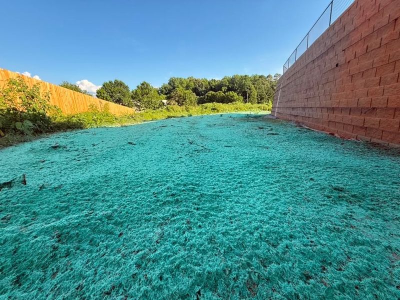 Hydroseeding