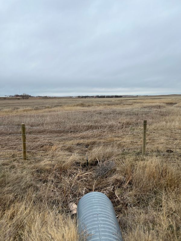 Fence