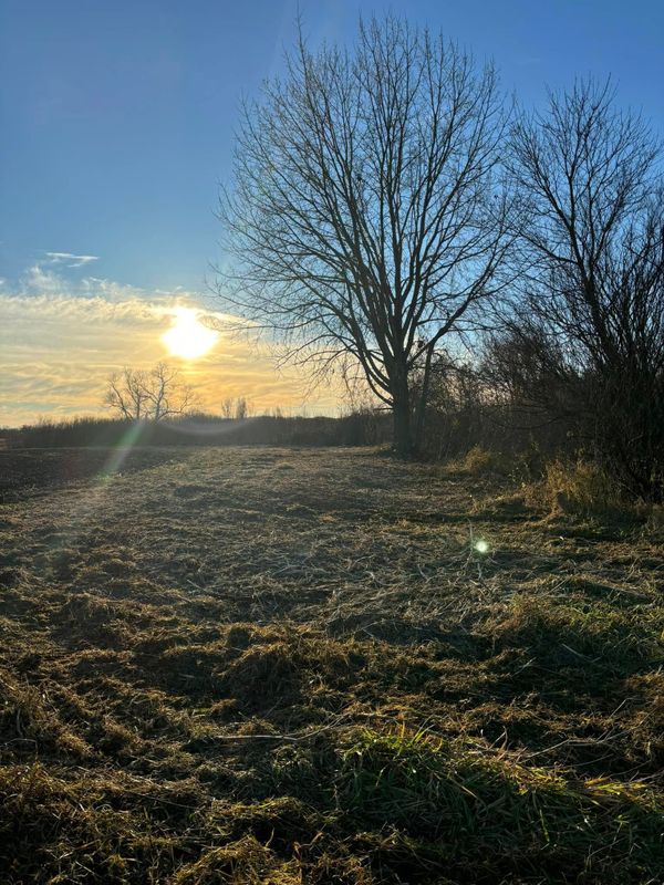 Crp Clearing